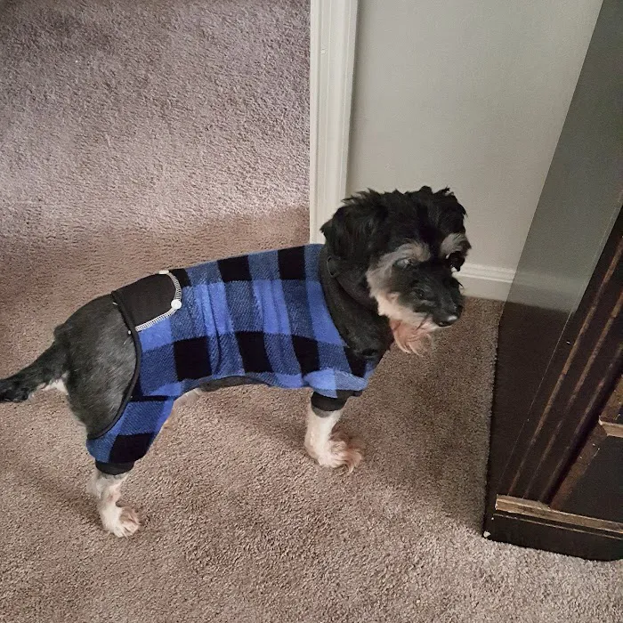 Tuckahoe Veterinary Hospital 8