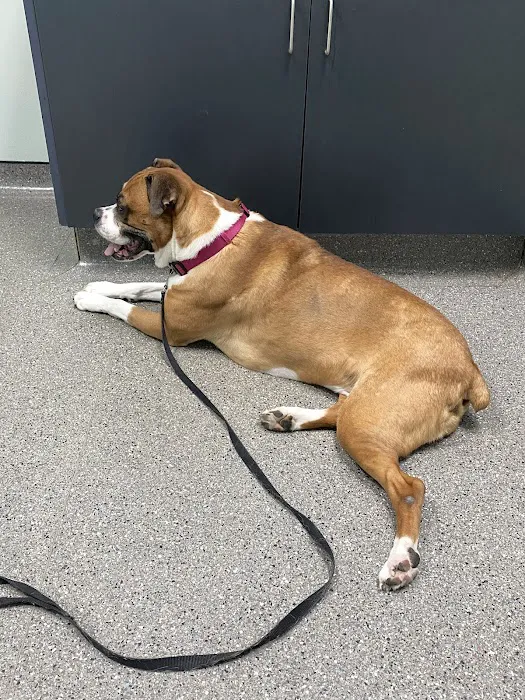 Countryside Veterinary Clinic 12