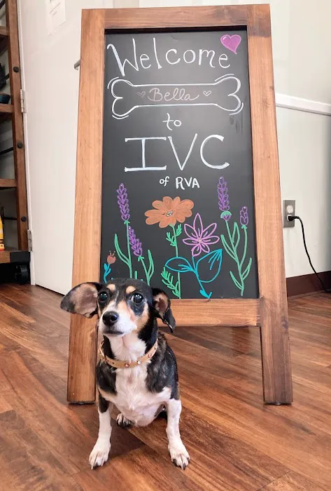 Integrative Veterinary Center of Richmond 2