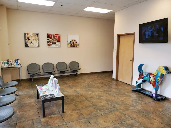 John Rolfe Animal Hospital 12