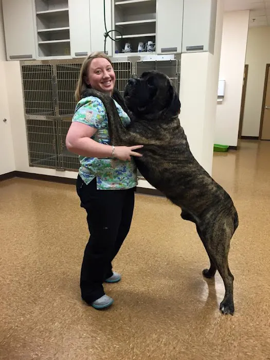 John Rolfe Animal Hospital 12