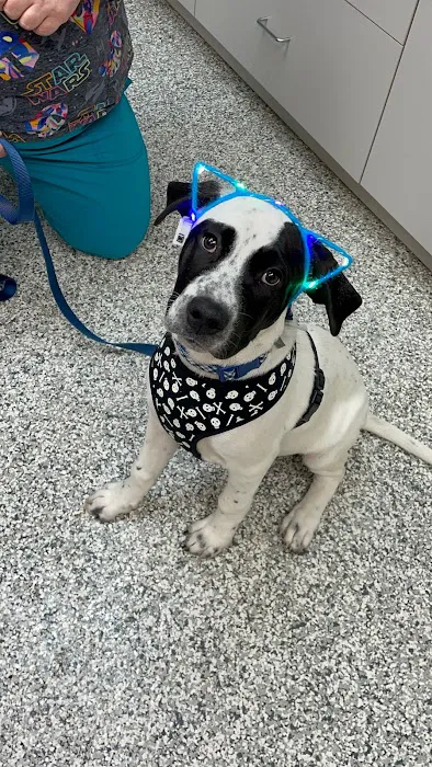 Farmers Veterinary Hospital 10