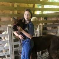 Smokey Mountain Mobile Veterinary Service ico