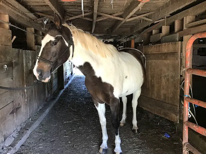 Smokey Mountain Mobile Veterinary Service 3
