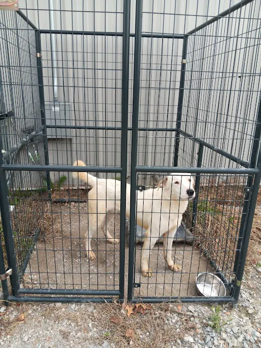 City of Lawrenceburg Animal Control 10