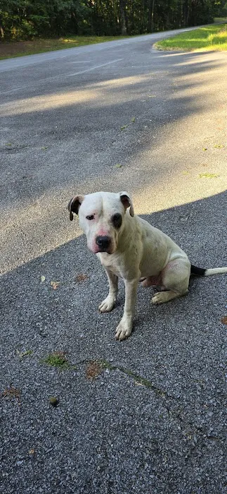 City of Lawrenceburg Animal Control 7