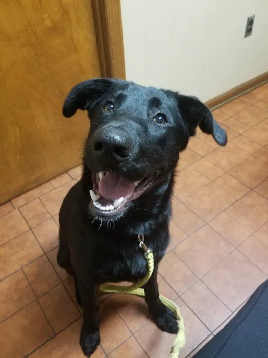Shoal Creek Animal Hospital 9