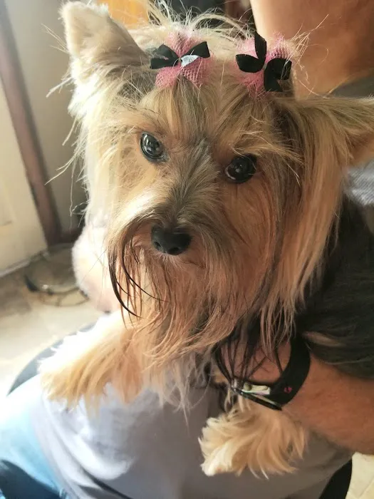 Shoal Creek Animal Hospital 6