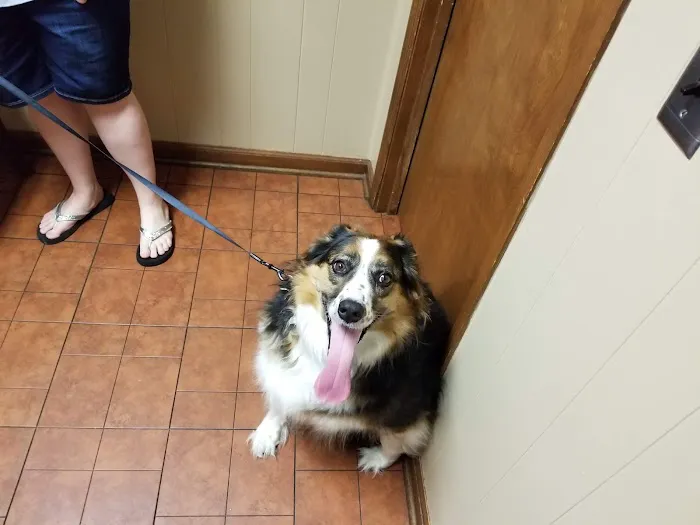 Shoal Creek Animal Hospital 2
