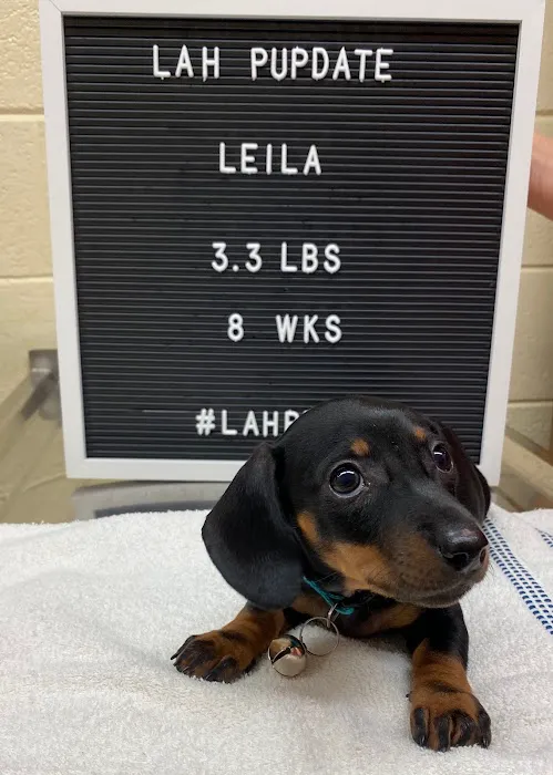 Lawrenceburg Animal Hospital 12
