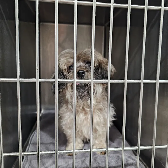 Laurel Hill Veterinary Clinic 2