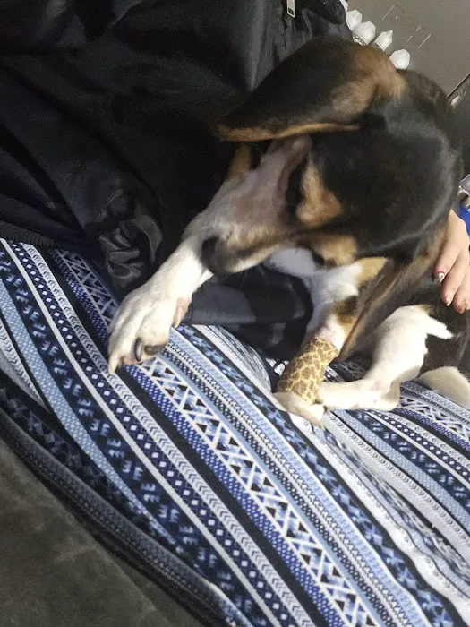 Macon Trousdale Veterinary Clinic 12
