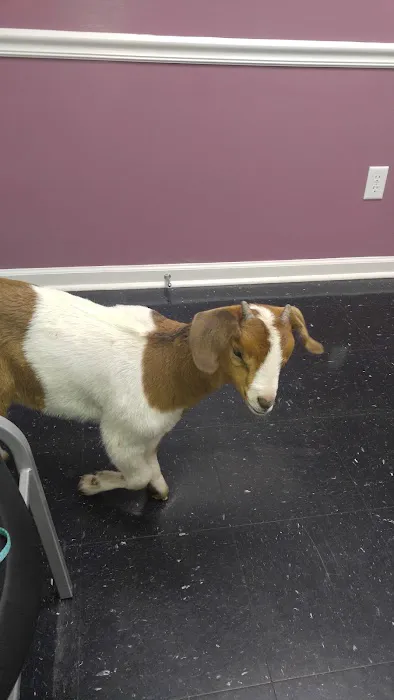 Macon County Veterinary Hospital 4