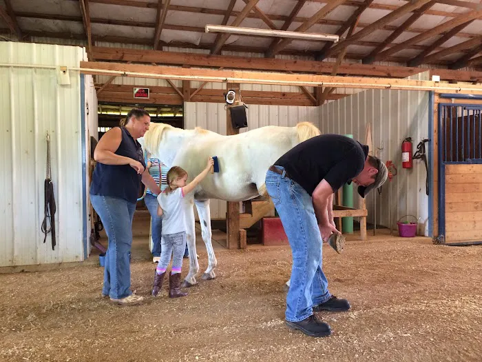 Gladeville Veterinary Services: Travis Whitlow, DVM 3