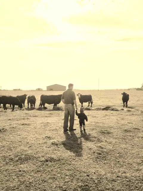 Gladeville Veterinary Services: Travis Whitlow, DVM 4