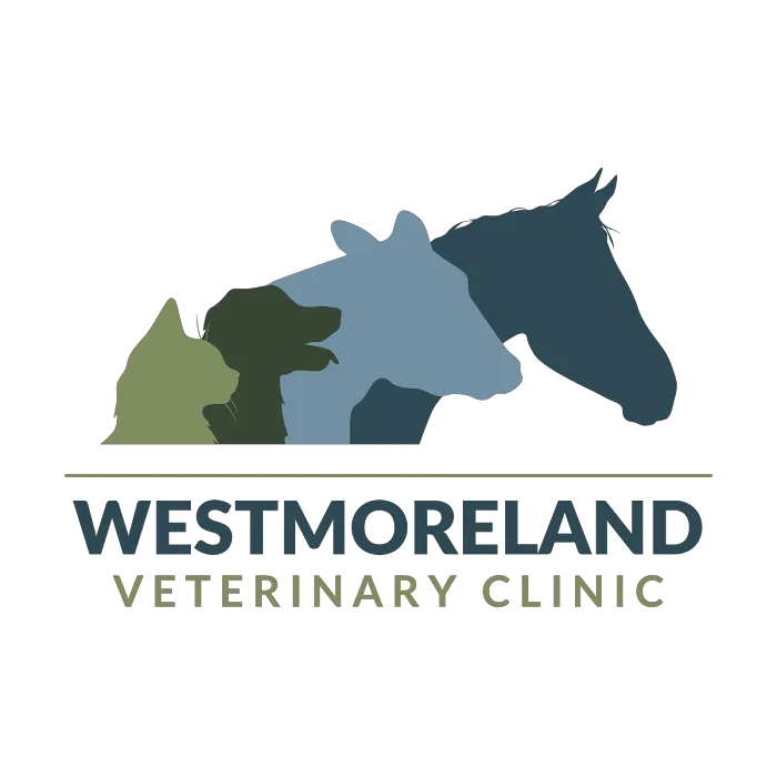 Westmoreland Veterinary Clinic 2