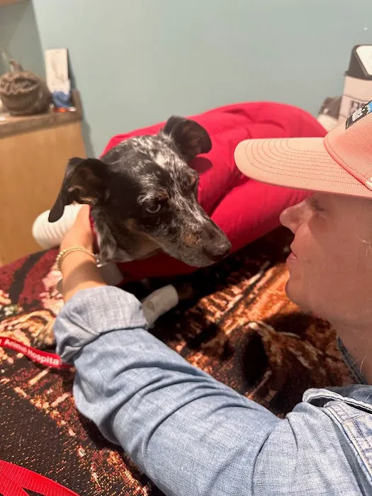 Clay County Animal Hospital 12