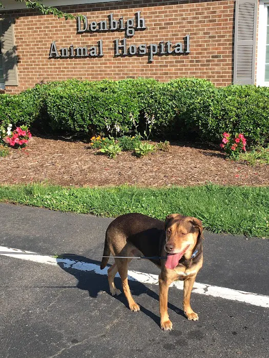Denbigh Animal Hospital 12