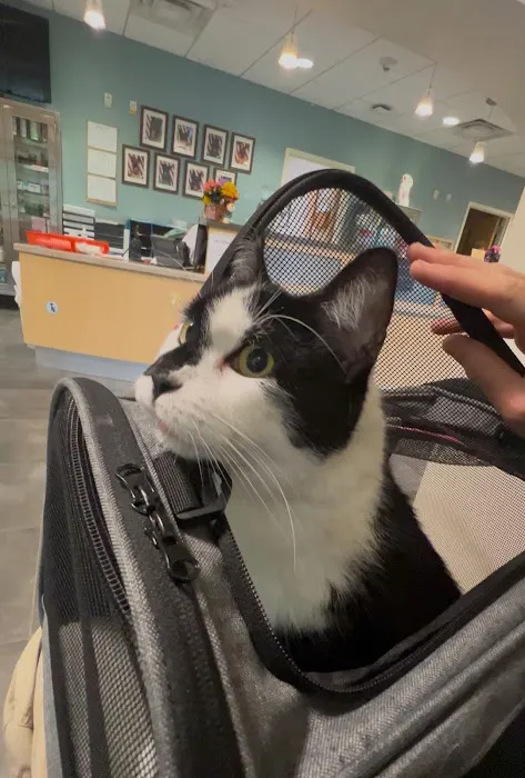 Langley Veterinary Clinic 12