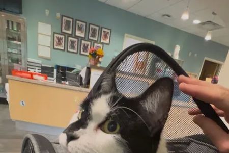 Langley Veterinary Clinic