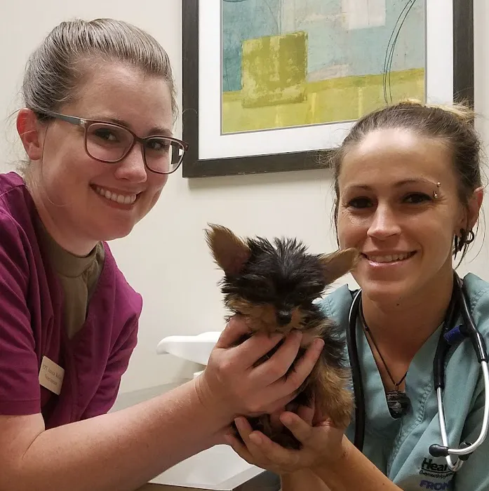 Langley Veterinary Clinic 12