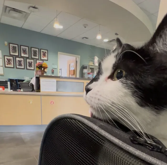 Langley Veterinary Clinic 12