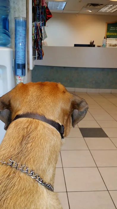 Poquoson Veterinary Hospital: Russ Bailey, DVM 12