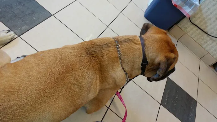 Poquoson Veterinary Hospital: Russ Bailey, DVM 12