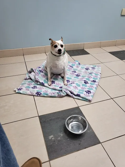 Poquoson Veterinary Hospital 12