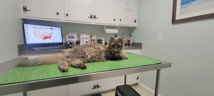 Gates County Animal Clinic 1