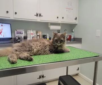 Gates County Animal Clinic