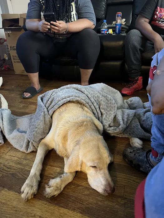 Gates County Animal Clinic 9