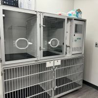 East Carolina Animal Emergency ico