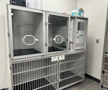 East Carolina Animal Emergency
