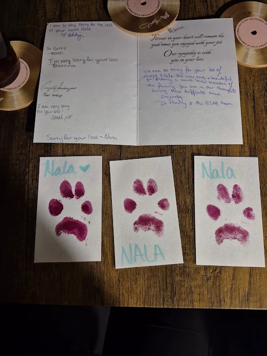 East Carolina Animal Emergency 4