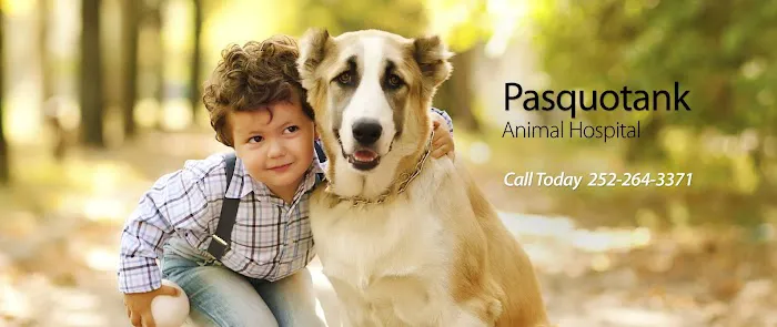 Pasquotank Animal Hospital 1