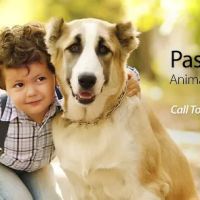 Pasquotank Animal Hospital ico