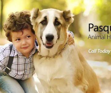 Pasquotank Animal Hospital