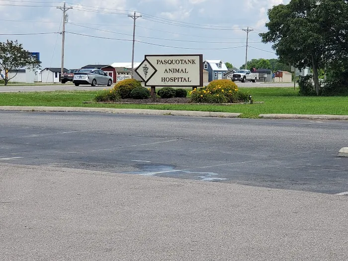 Pasquotank Animal Hospital 6