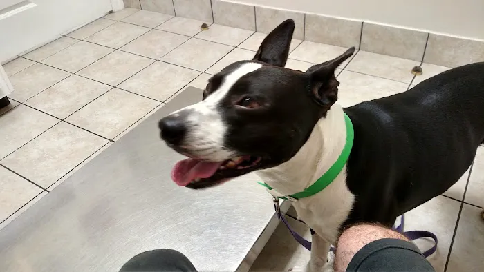 Pasquotank Animal Hospital 9