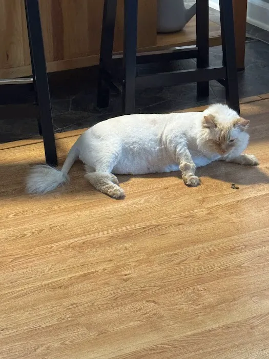 Pasquotank Animal Hospital 3