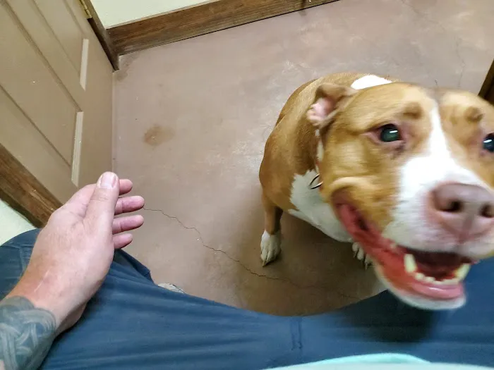 Deer Creek Veterinary Clinic P.A. 3