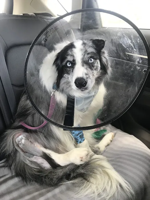 Deer Creek Veterinary Clinic P.A. 6