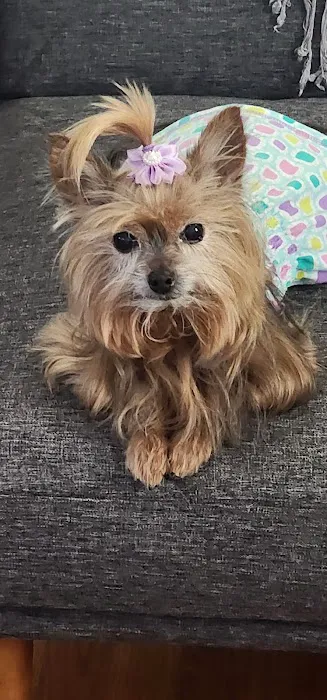 Cypress Creek Animal Hospital 2