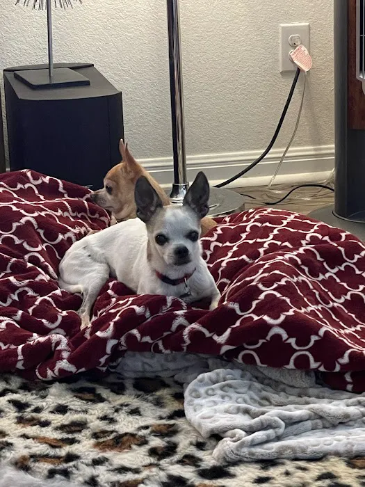 West Side Veterinary Clinic 2