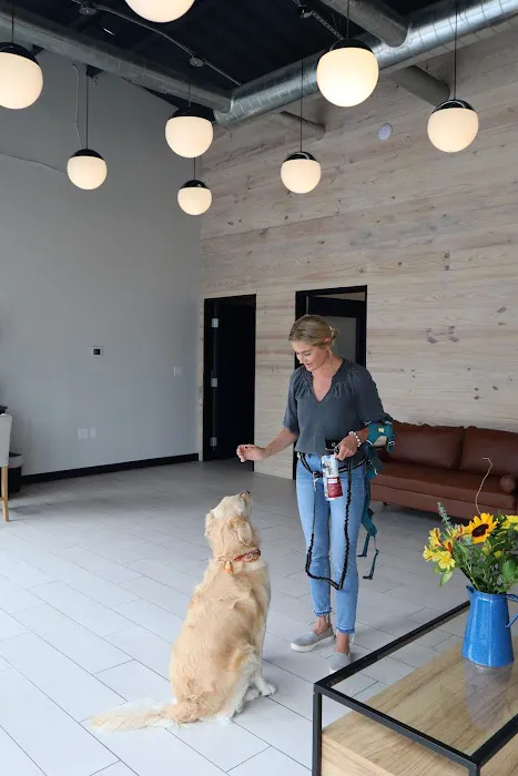 Apollo Veterinary Wimberley 4