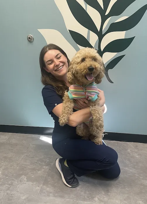Apollo Veterinary Wimberley 10