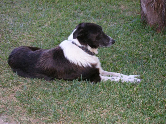 Wimberley Veterinary Clinic 10