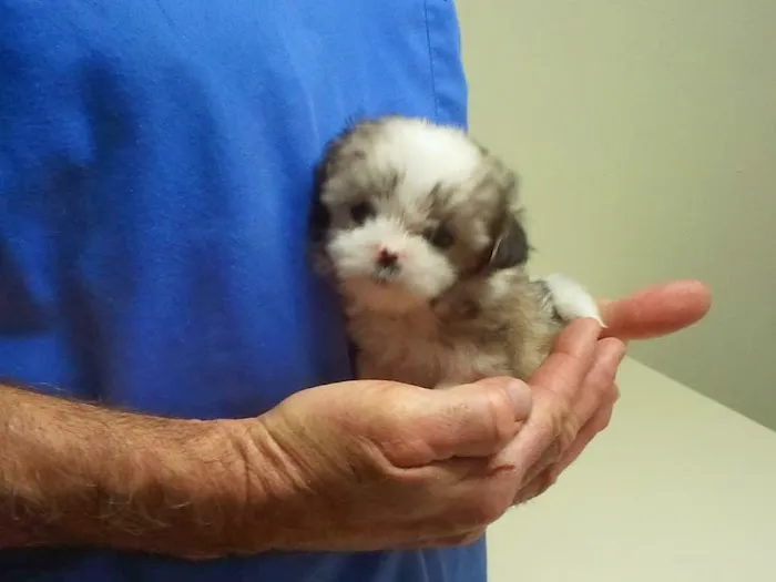 Wimberley Veterinary Clinic 5