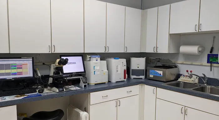 Reynolda Veterinary Hospital 12
